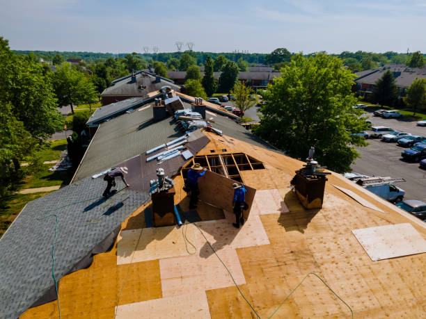 Trusted Roof Replacement service in Reedville, VA - Brentwood Metal Roofing